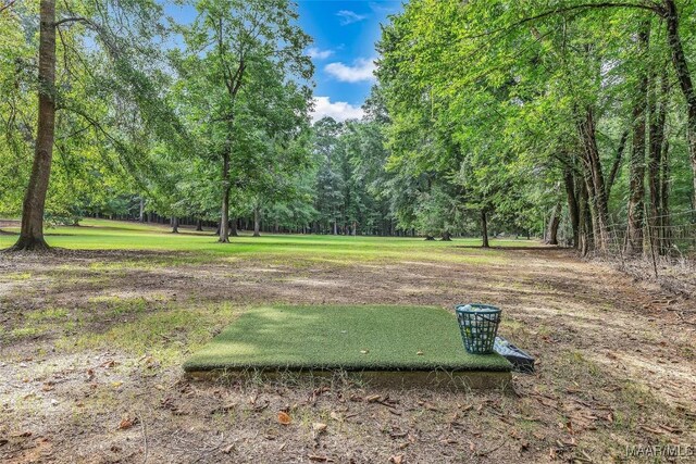 13812 Old Pike Rd, Mathews, AL 36052 - photo 16