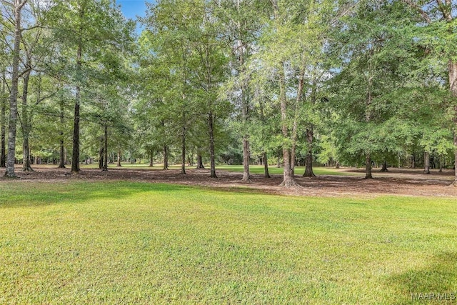 13812 Old Pike Rd, Mathews, AL 36052 - photo 11
