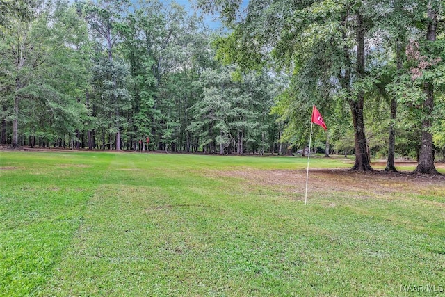 13812 Old Pike Rd, Mathews, AL 36052 - photo 15