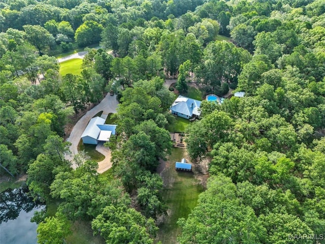 13812 Old Pike Rd, Mathews, AL 36052 - photo 65