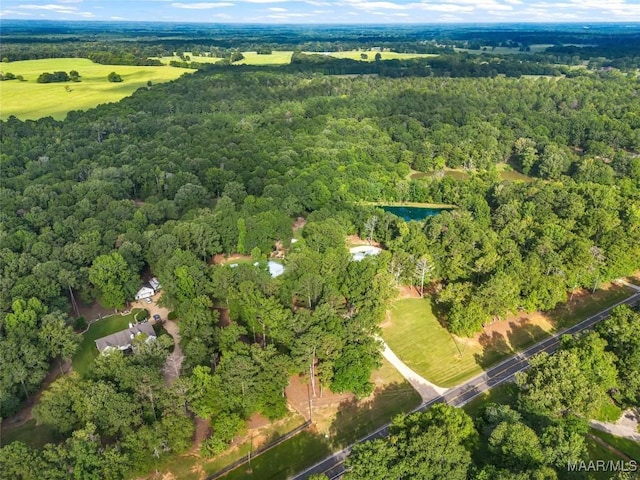13812 Old Pike Rd, Mathews, AL 36052 - photo 70