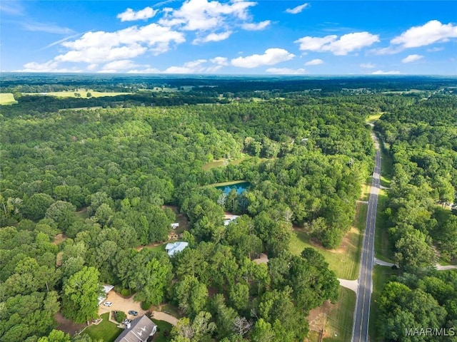 13812 Old Pike Rd, Mathews, AL 36052 - photo 71