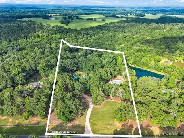 13812 Old Pike Rd, Mathews, AL 36052 - photo 73