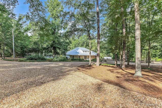13812 Old Pike Rd, Mathews, AL 36052 - photo 7