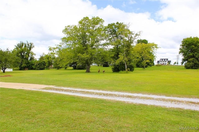 5836 Trotman Dr, Montgomery, AL 36116 - photo 29