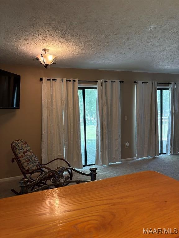 314 County Road 401st Rd, Selma, AL 36701 - photo 24