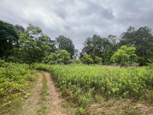 0 Cherokee Trl, Tallassee, AL 36078 - photo 1