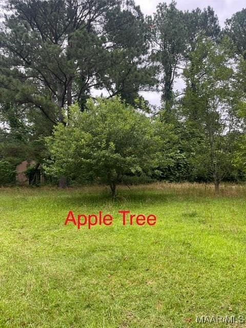 0 Cherokee Trl, Tallassee, AL 36078 - photo 2