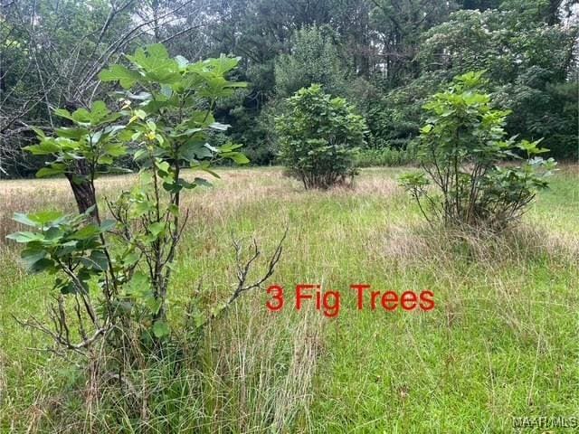 0 Cherokee Trl, Tallassee, AL 36078 - photo 3