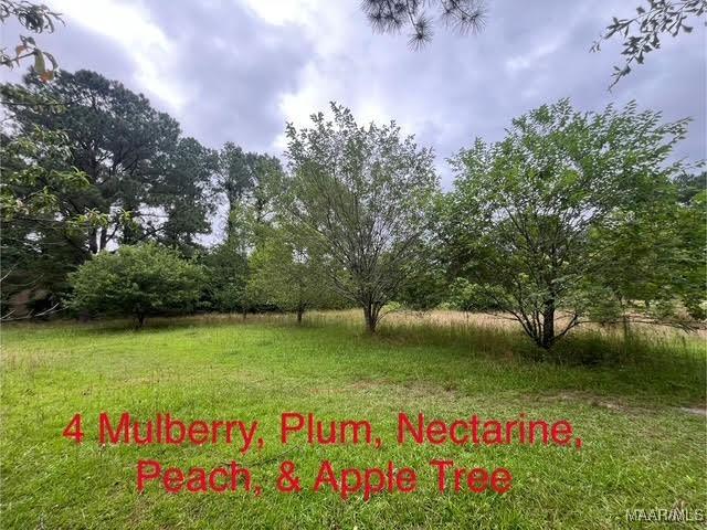 0 Cherokee Trl, Tallassee, AL 36078 - photo 4
