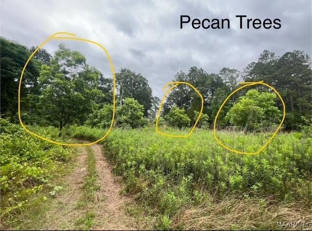 0 Cherokee Trl, Tallassee, AL 36078 - photo 6