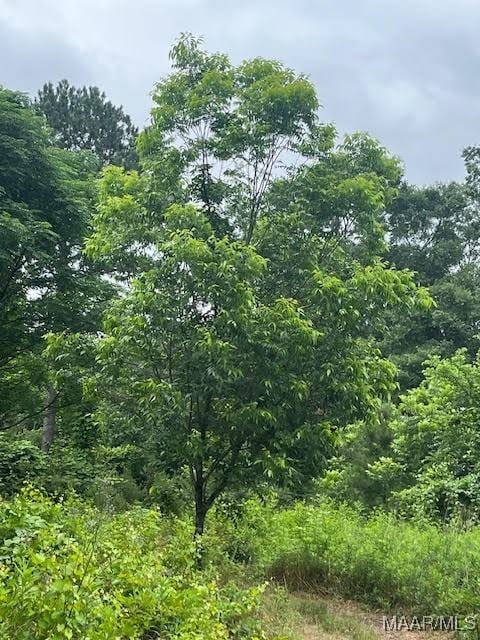 0 Cherokee Trl, Tallassee, AL 36078 - photo 7