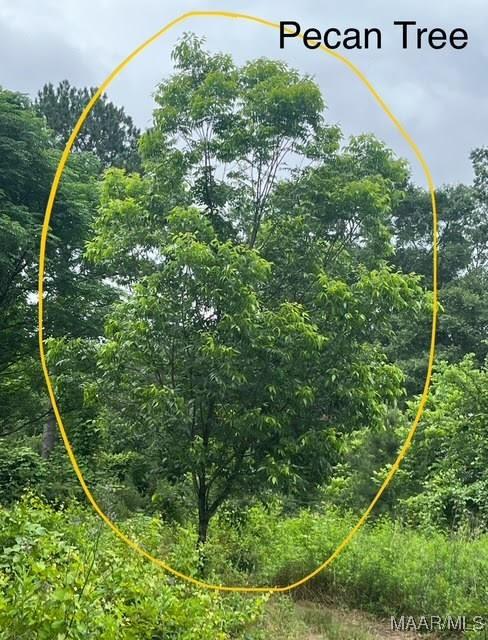 0 Cherokee Trl, Tallassee, AL 36078 - photo 9