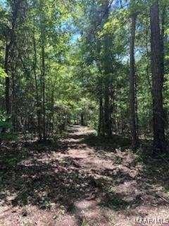 0 Cherokee Trl, Tallassee, AL 36078 - photo 10