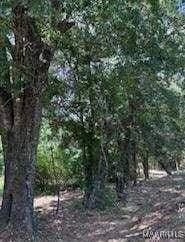 0 Cherokee Trl, Tallassee, AL 36078 - photo 11