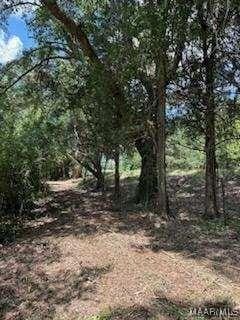 0 Cherokee Trl, Tallassee, AL 36078 - photo 14