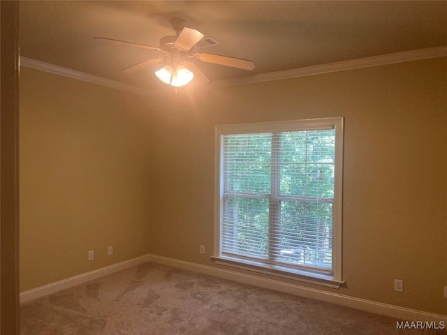 79 Forest Hill Ct, Wetumpka, AL 36093 - photo 19