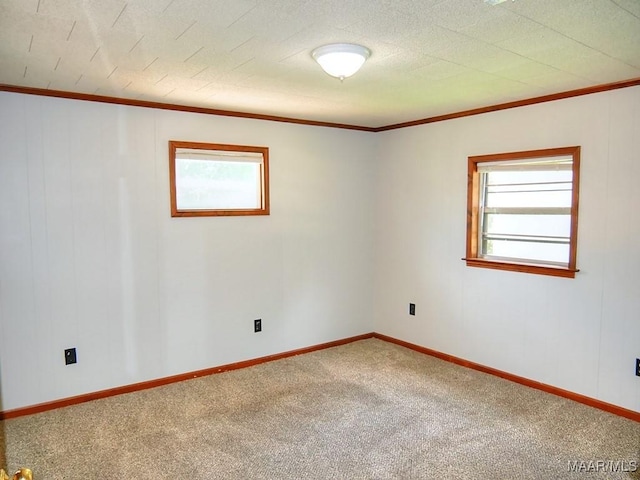 525 Avondale Rd, Montgomery, AL 36109 - photo 15
