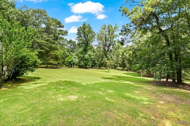 1388 Burt Mill Rd, Tallassee, AL 36078 - photo 58