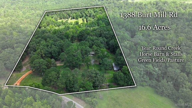 1388 Burt Mill Rd, Tallassee, AL 36078 - photo 56