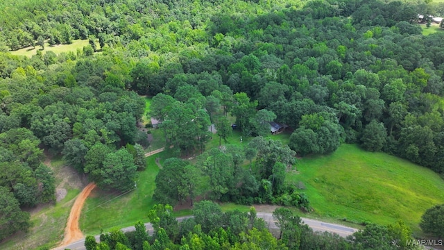 1388 Burt Mill Rd, Tallassee, AL 36078 - photo 59