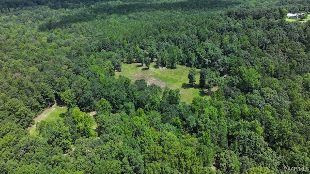 1388 Burt Mill Rd, Tallassee, AL 36078 - photo 61