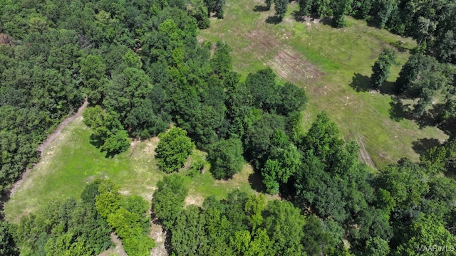1388 Burt Mill Rd, Tallassee, AL 36078 - photo 62