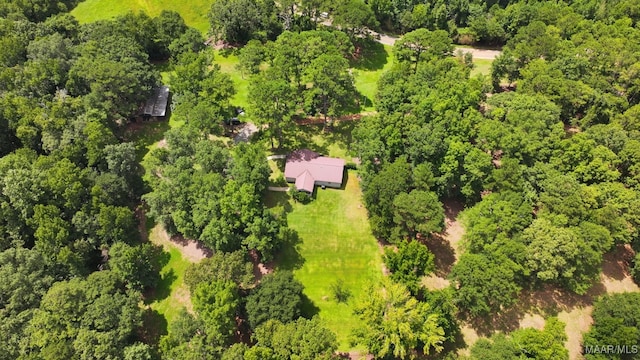 1388 Burt Mill Rd, Tallassee, AL 36078 - photo 63