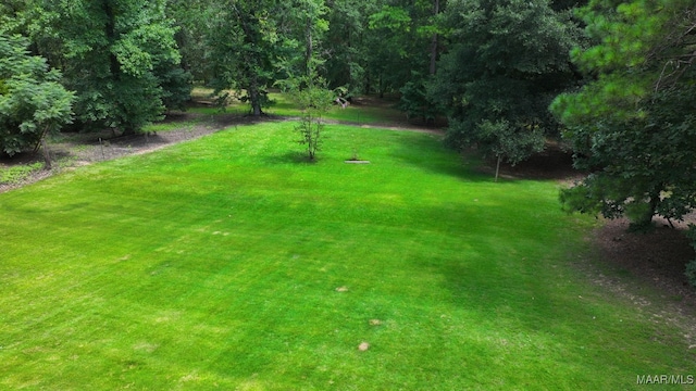 1388 Burt Mill Rd, Tallassee, AL 36078 - photo 64