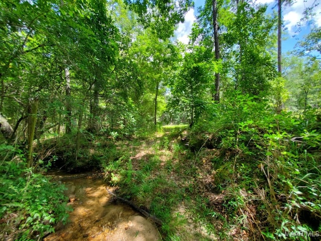 1388 Burt Mill Rd, Tallassee, AL 36078 - photo 65