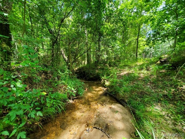1388 Burt Mill Rd, Tallassee, AL 36078 - photo 66