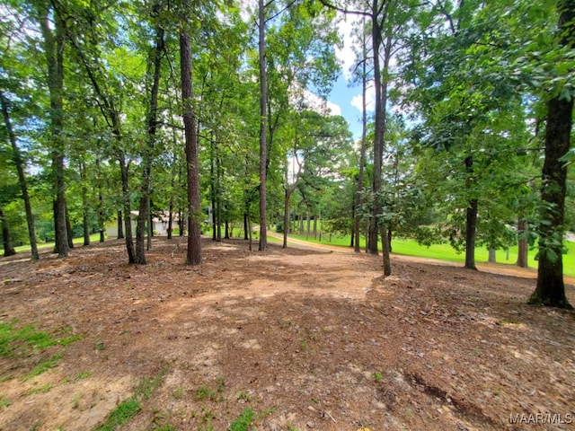 1388 Burt Mill Rd, Tallassee, AL 36078 - photo 67