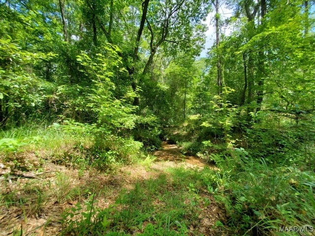 1388 Burt Mill Rd, Tallassee, AL 36078 - photo 69