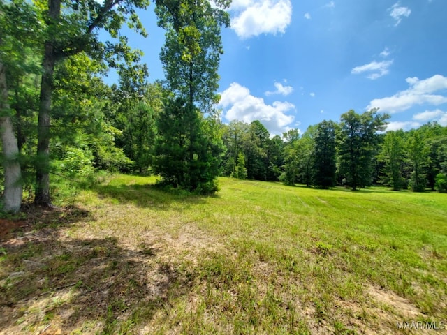 1388 Burt Mill Rd, Tallassee, AL 36078 - photo 70