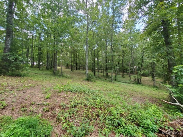 1388 Burt Mill Rd, Tallassee, AL 36078 - photo 71