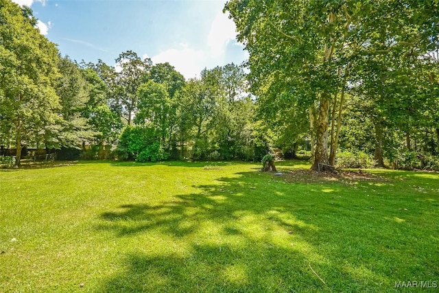 312 Kennedy Ave, Coosada, AL 36020 - photo 30