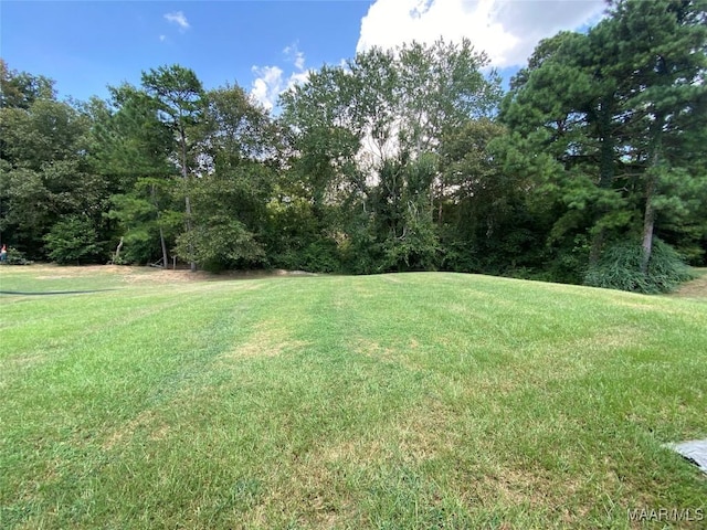 1614 Beaumont Dr, Deatsville, AL 36022 - photo 31