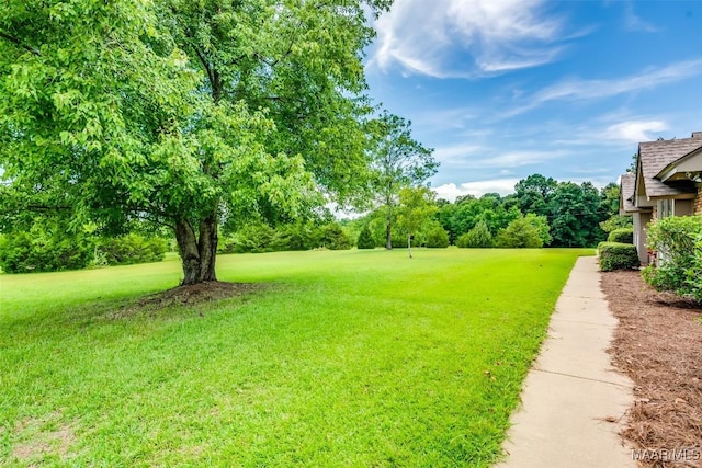 1519 Old Mcgehee Rd, Montgomery, AL 36105 - photo 51