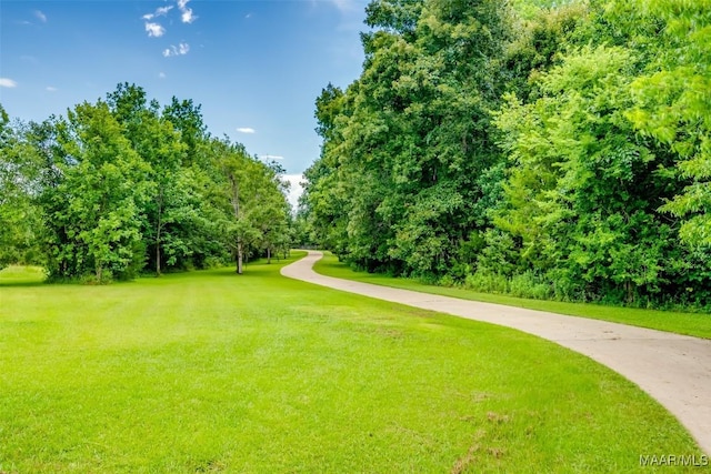 1519 Old Mcgehee Rd, Montgomery, AL 36105 - photo 4