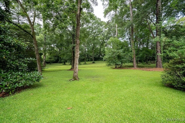 40 Watson Cir, Montgomery, AL 36109 - photo 63