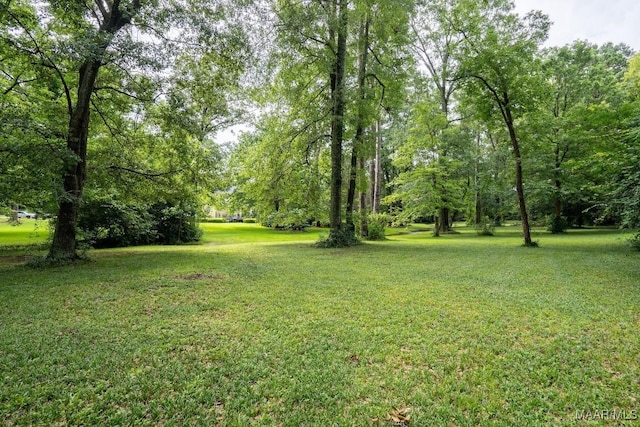 40 Watson Cir, Montgomery, AL 36109 - photo 68