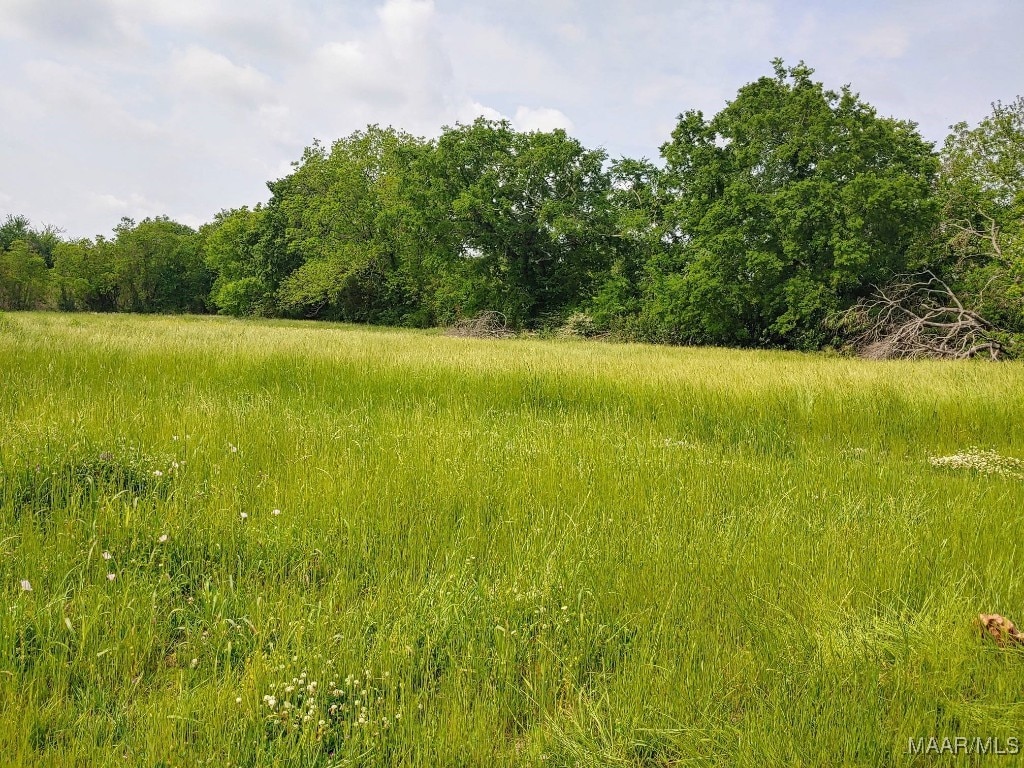 0000 Butler Mill Rd, Montgomery, AL 36105 - photo 1