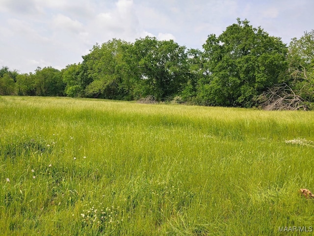 0000 Butler Mill Rd, Montgomery, AL 36105 - photo 1