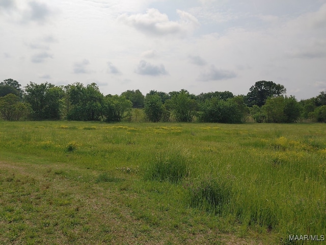 0000 Butler Mill Rd, Montgomery, AL 36105 - photo 3