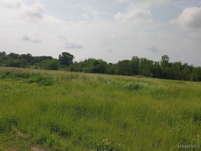 0000 Butler Mill Rd, Montgomery, AL 36105 - photo 4