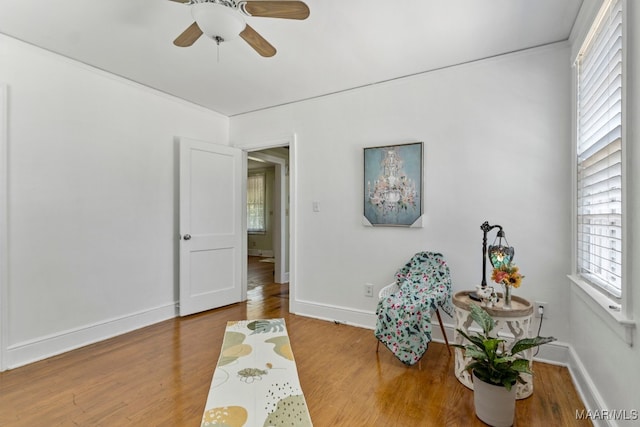 11 Calhoun Rd, Montgomery, AL 36109 - photo 7