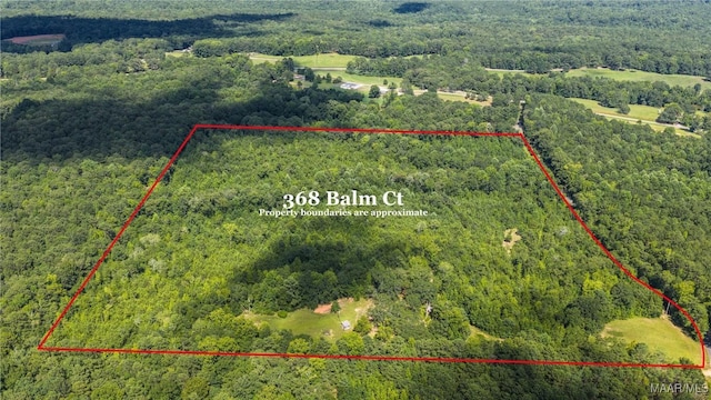 368 Balm Ct, Wetumpka, AL 36092 - photo 1