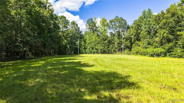 368 Balm Ct, Wetumpka, AL 36092 - photo 2