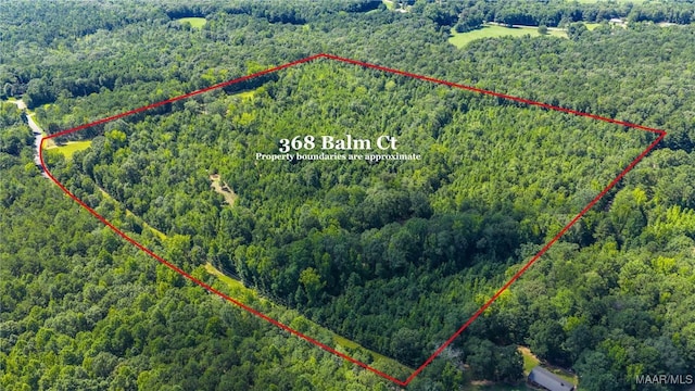 368 Balm Ct, Wetumpka, AL 36092 - photo 4