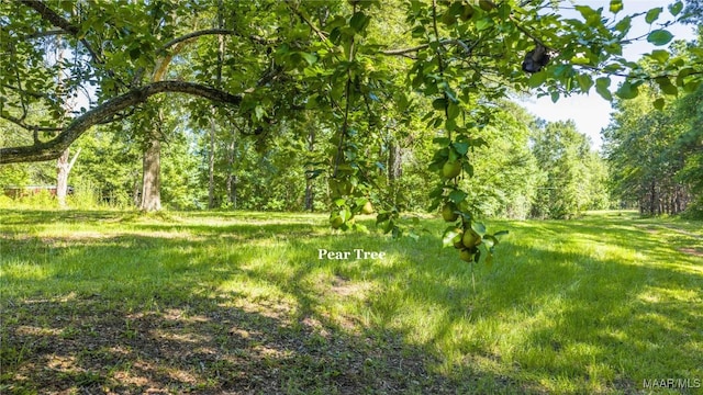 368 Balm Ct, Wetumpka, AL 36092 - photo 6